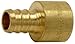 SharkBite/Cash Acme UC600LFA10 Barbed Pipe PEX Sweat Adapter, Brass, 1/2-In. Barb Insert x 1/2-In. Female P - Quantity 6