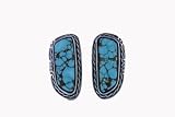 Number 8 Turquoise Earrings by Gary Glandon
