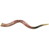 Shofars
