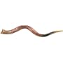 Shofar Extra Large Yemenite
