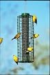 Duncraft 18834 Selective Squirrel Block Feeder