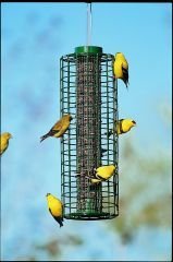 Duncraft 18834 Selective Squirrel Block Feeder