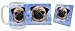 pug26  - Pug Mug and Coaster Combo