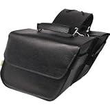 Willie and Max Raptor Compact Slant Saddlebags - Small/Black