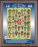 1969 Chicago Cubs 11 x 13 Plaque from Healy Pro
