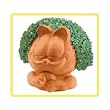 Chia Garfield