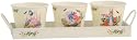 Beatrix Potter Peter Rabbit Plant and Herb Pots (Set of 3 with Tray)