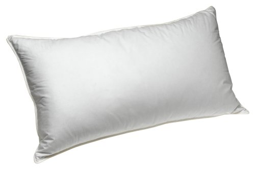 Marshall Fields Down Jumbo Size Pillow
