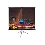 Elite Screens Tripod Portable Projection Screen, 16:9 Aspect Ratio-120in (Max White)
