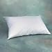 * Soft, supple, quiet cover with hypoallergenic fiberfill. * Excellent, high moisture vapor permeability for comfort. * Good air porosity for a fluffier pillow. * Easy to maintain, self-deodorizing. * Extremely small fabric pore size (<10 microns) creates a barrier to lint, dust, dust mites and their by-products. * Breathable, lint free, lightweight and no coatings to flake off or delaminate. * Antimicrobial protection using EPA registered antimicrobial technology provides effective control of microorganisms commonly associated with health problems and lasts the life of the product. * Can be laundered in a home or hospital setting, does not require dry cleaning.