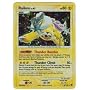 Pokemon Diamond & Pearl Secret Wonders Raikou Holofoil Card 16/132