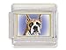 boxer1 - BOXER Dog Italian Charm