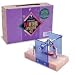 Dowling Magnets Electric Motor/Generator Science Discovery Kits