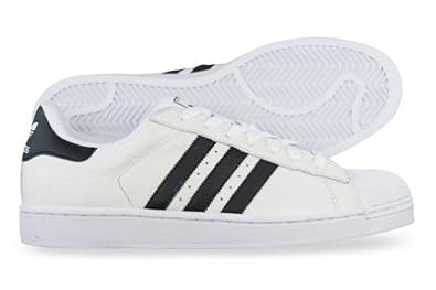 Commercial and Inspired Trend Commercial and Inspired Trend