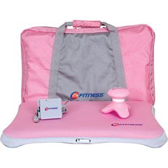 Dreamgear 24HR FITNESS 4 IN 1 STARTER KITFOR WII FIT & WII F (Video Game / Wii)