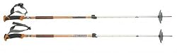 Traverse Pole - Pair 145 by Black Diamond