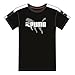 PUMA Men's Tee (50386501), S