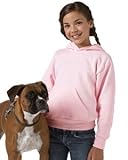 7.8 oz 50/50 Youth Pullover Hooded Sweatshirt by Hanes (Style# P473)