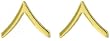 Polished Private Insignia Set