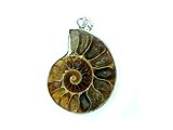 PE0099 Madagascar Ammonite Fossil Crystal Pendant