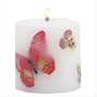 Butterflies/flowers Scnt Candl