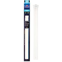 Aqueon Coralife 05487 50/50 Square Pin Compact Fluorescent Lamp, 65-Watt