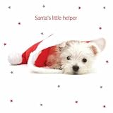 Eigenschaften Otter House  / Weihnachtskarte Winter Warmers Santa´s little helper