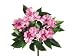 Faux 11 Impatiens Bush x5 Pink (Pack of 24)