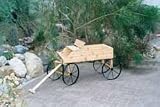 Medium Buckboard