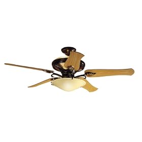 Hunter 23298 Ranier 2-Light 60-Inch Five-Blade Ceiling Fan with Frosted Globe, Amber Bronze