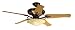 Hunter 23298 Ranier 2-Light 60-Inch Five-Blade Ceiling Fan with Frosted Globe, Amber Bronze