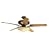 Hunter 23298 Ranier 2-Light 60-Inch Five-Blade Ceiling Fan with Frosted Globe, Amber Bronze