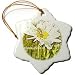 Daisy and Bee Plant Seeds of Joy- Flowers- Floral Art - 3 Inch Snowflake Porcelain Ornament