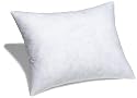 Pinzon Feather And Down 12-By-16-Inch Boudoir Pillow