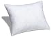Pinzon Feather And Down 12-By-16-Inch Boudoir Pillow