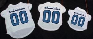 Arizona Cardinals Pet Jersey, Small