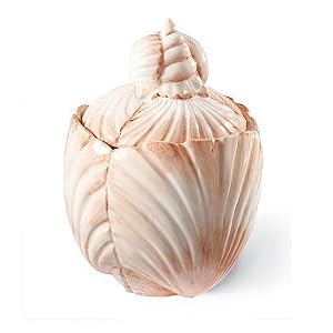 Coral Bath Shell Cotton Ball Box - Frontgate