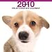 2010ǯ���� THE DOG �������� �����륷�塦�������� 