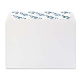 Columbian CO330 6x9-Inch Booklet Grip-Seal White Envelopes, 250 Count