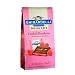 Ghirardelli Chocolate Dark Chocolate & Raspberry Squares Chocolates Gift Bag