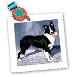 Dogs Border Collie - Border Collie - Quilt Squares
