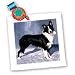 Dogs Border Collie - Border Collie - Quilt Squares