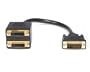 StarTech.com 1-Feet DVI-D to 2x DVI-D Digital Video Splitter Cable - M/F (DVISPL1DD)