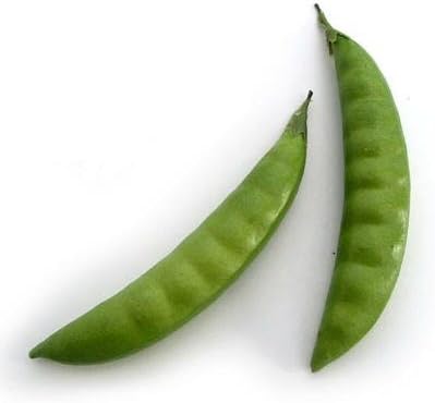 Artificial Pea Pods Bag of 48 Two sizes