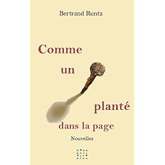 Comme un Clou Plante Dans la Page