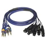 6ft 8 x XLR Female to 8 x 6.3mm (1/4inch) Mono Male Microphone Snake Cable Knowing God: Walking through the Book of Books