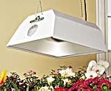 1000 Watt HPS Hortilux