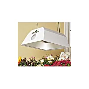 1000 Watt HPS Hortilux by 