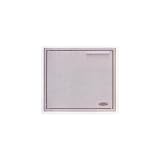 DCS Stainless Steel 24 Inch Single Access Door ADN20X24
