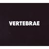 Vertebrae LTD edition